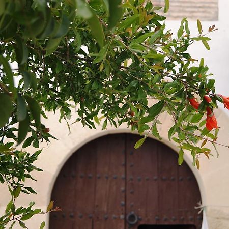 Casa De La Placeta Del Rincon Moclín Kültér fotó