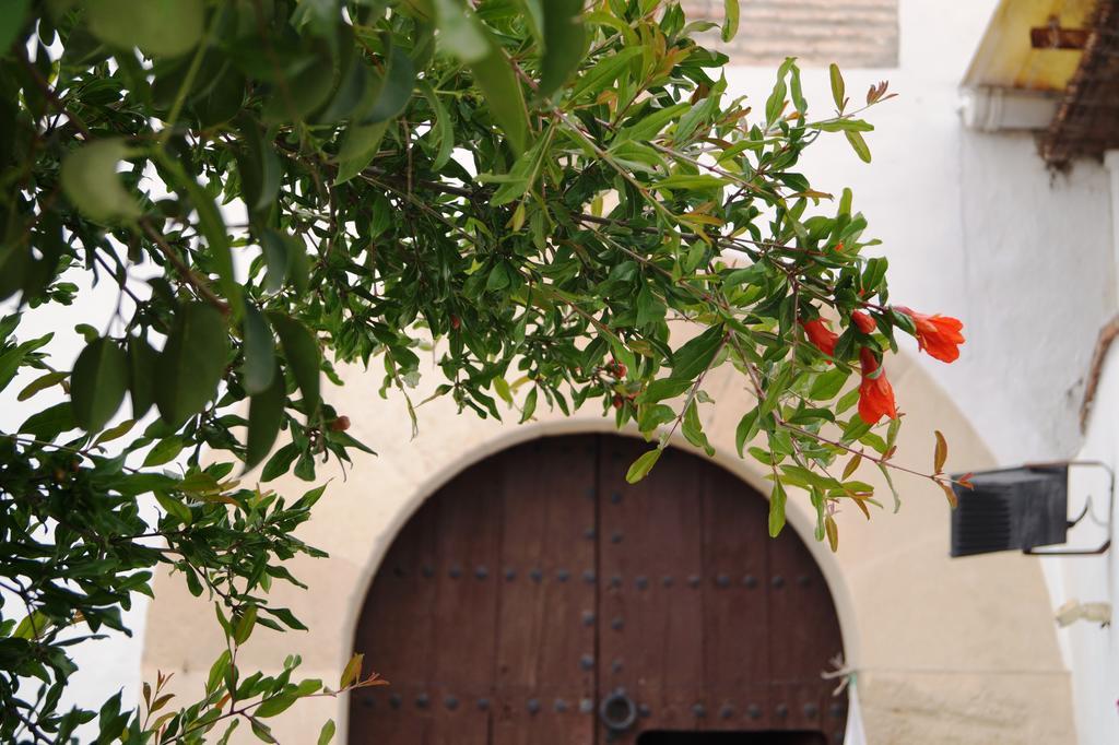 Casa De La Placeta Del Rincon Moclín Kültér fotó